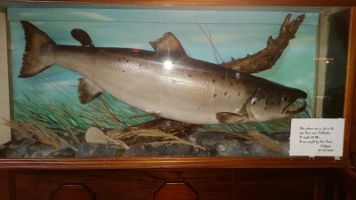 saumon record a kilsheelan