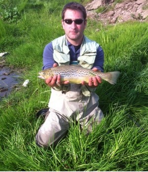 belle brown trout