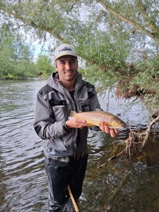 belle brown trout