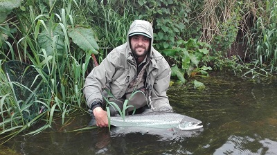 toujours un saumon