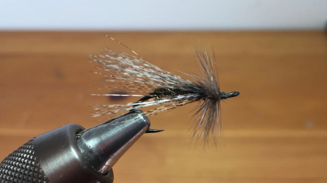 gros sedge pardo fab
