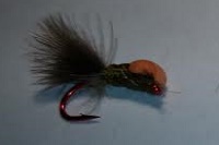 mouche 1 de tom power