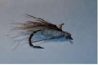 mouche 3 tom power