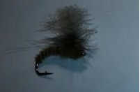 mouche 5 tom power