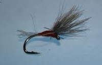 mouche 6 tom power