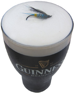 une mouche dans la guinness