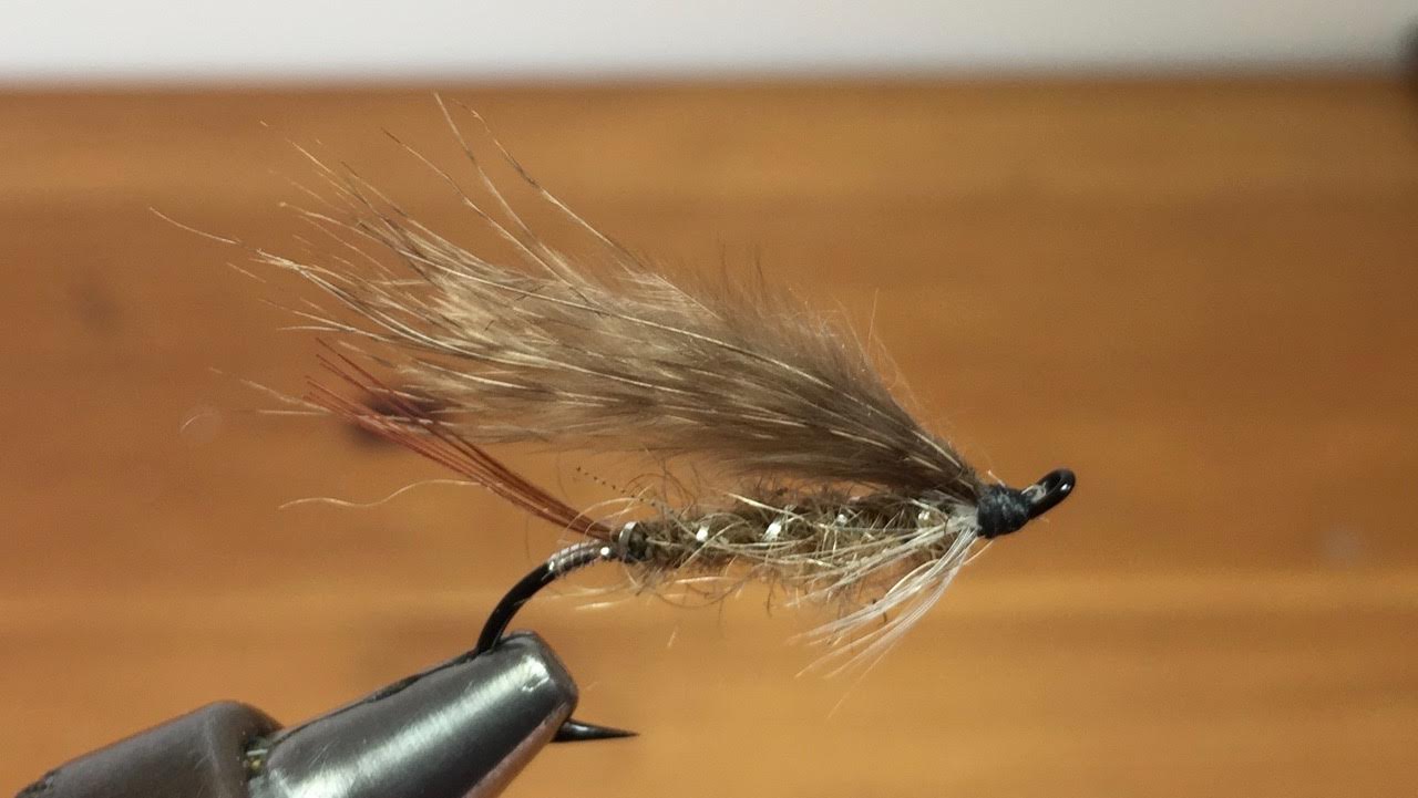 mouche type h clerc